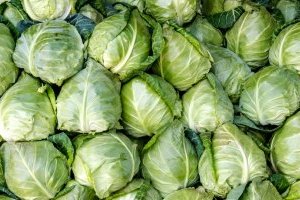 В Україні дешевшає рання капуста