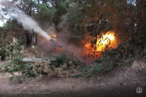 Сили оборони відбили шість атак біля Вовчанська, Кам'янки та Малої Шпаківки - військові