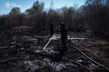 Firefighting efforts continue for second day on peat bog near Hostomel in Kyiv region