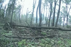 На Курському напрямку українські бійці знищили ворожу групу, яка намагалася штурмувати Сумщину